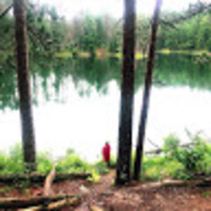 Meet your Posher, Jeff